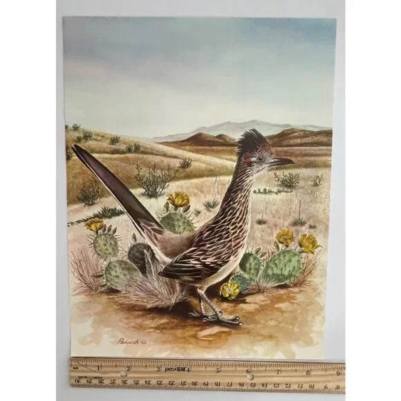 Roadrunner Art Print Radovich 1962 Framed 8x10 Desert Landscape Cactus Flowers - Picture 7 of 7